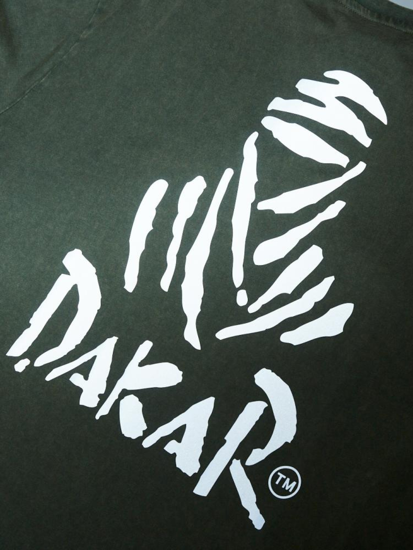 Футболка DIVERSE Dkr Wash 01 модель 10043325 Фото