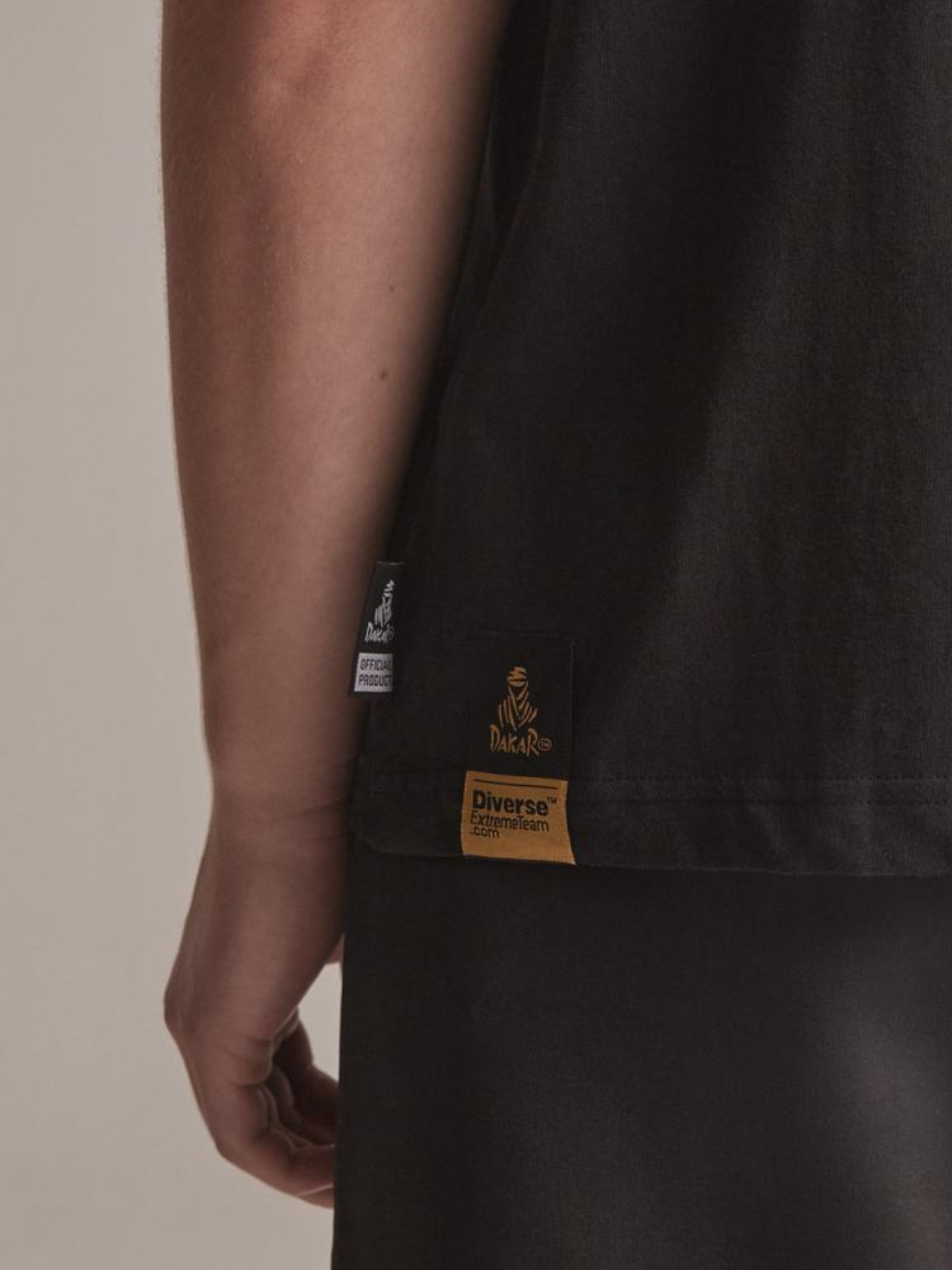 Футболка DIVERSE Dkr Vip 01 236 модель 10043330 Фото