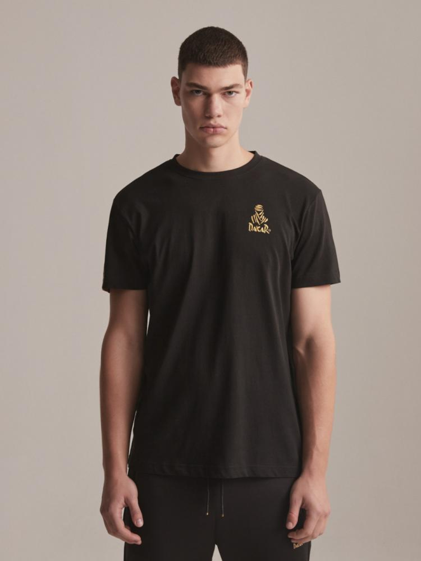 Футболка DIVERSE Dkr Vip 01 236 модель 10043330 Фото