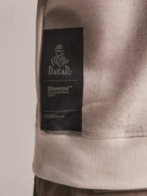Худи DIVERSE Dkr H23 Pt модель 10043297 Фото
