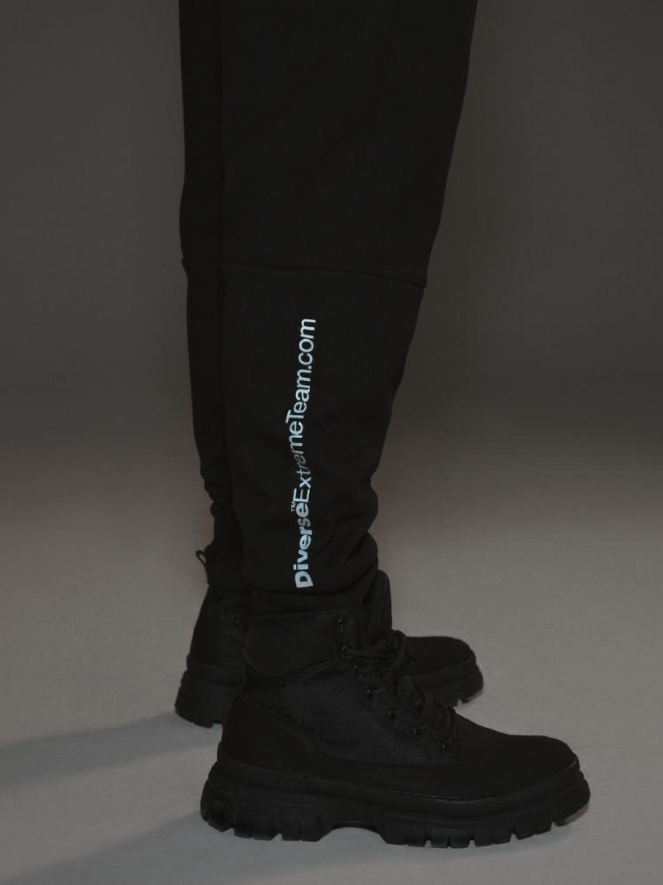 Штаны спортивные DIVERSE Dkr Instinct P модель 10043309 Фото