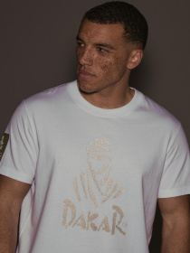 Футболка DIVERSE Dkr Desert 04 модель 10044555 Фото