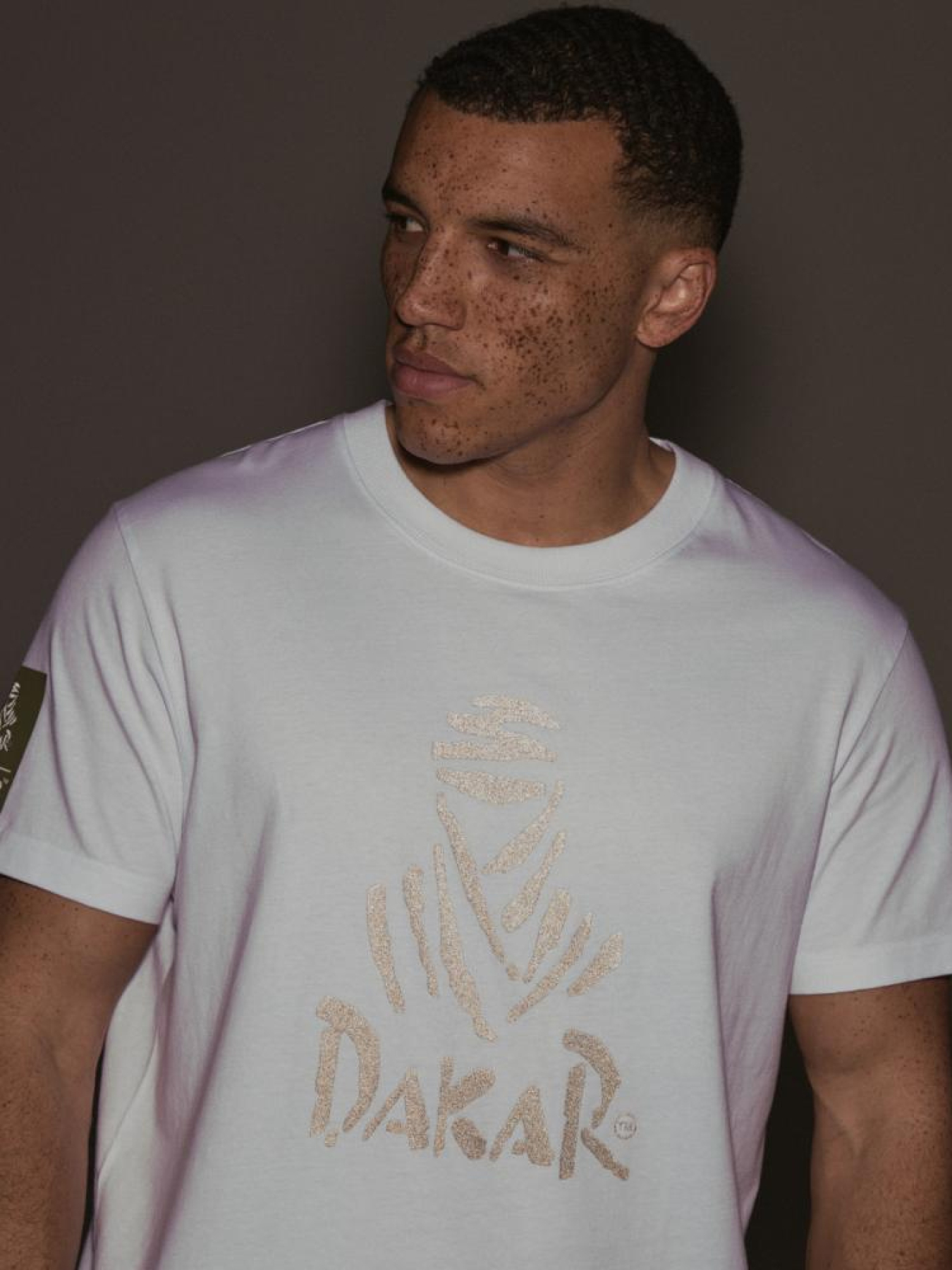 Футболка DIVERSE Dkr Desert 04 модель 10044555 Фото