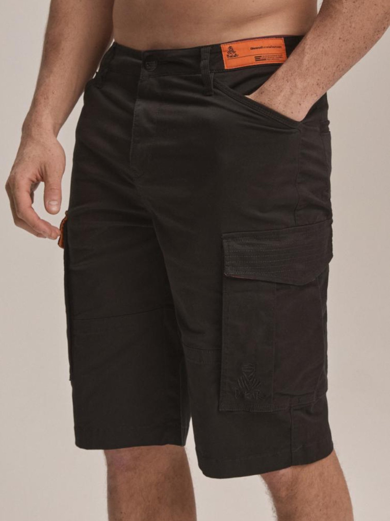 Шорти DIVERSE Dkr Cargo Sh модель 10044477 Фото