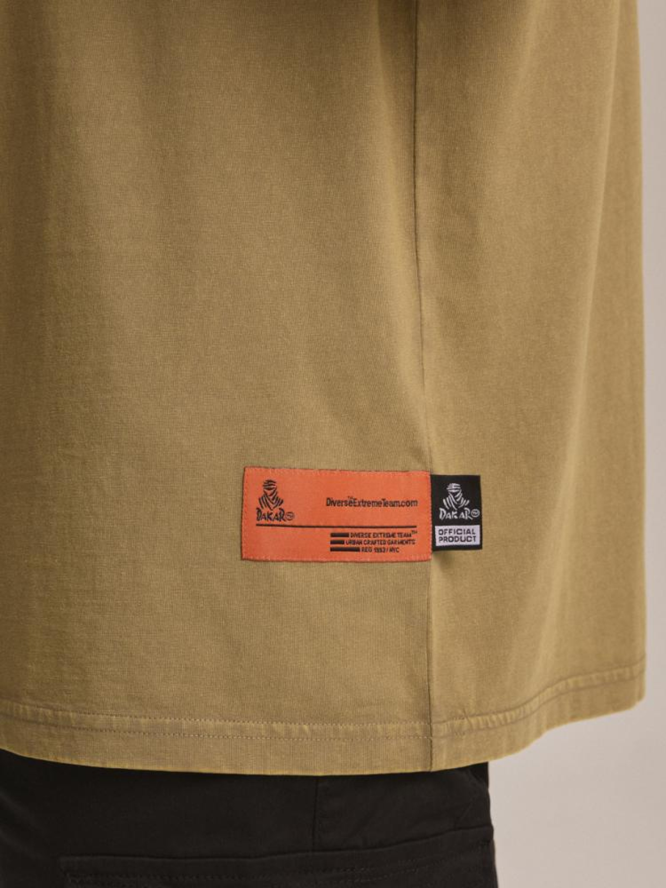 Футболка DIVERSE Dkr Desert 05 модель 10044556 Фото