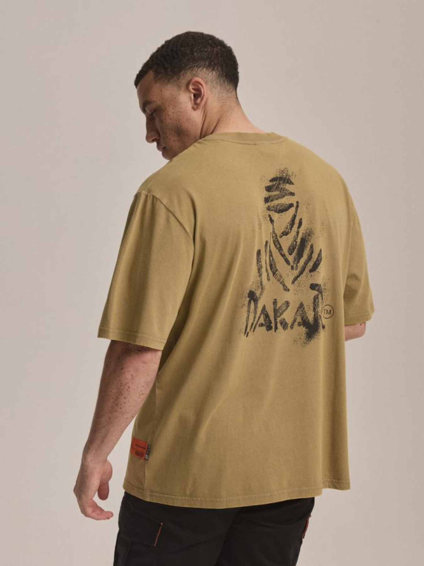 Футболка DIVERSE Dkr Desert 05 модель 10044556 Фото