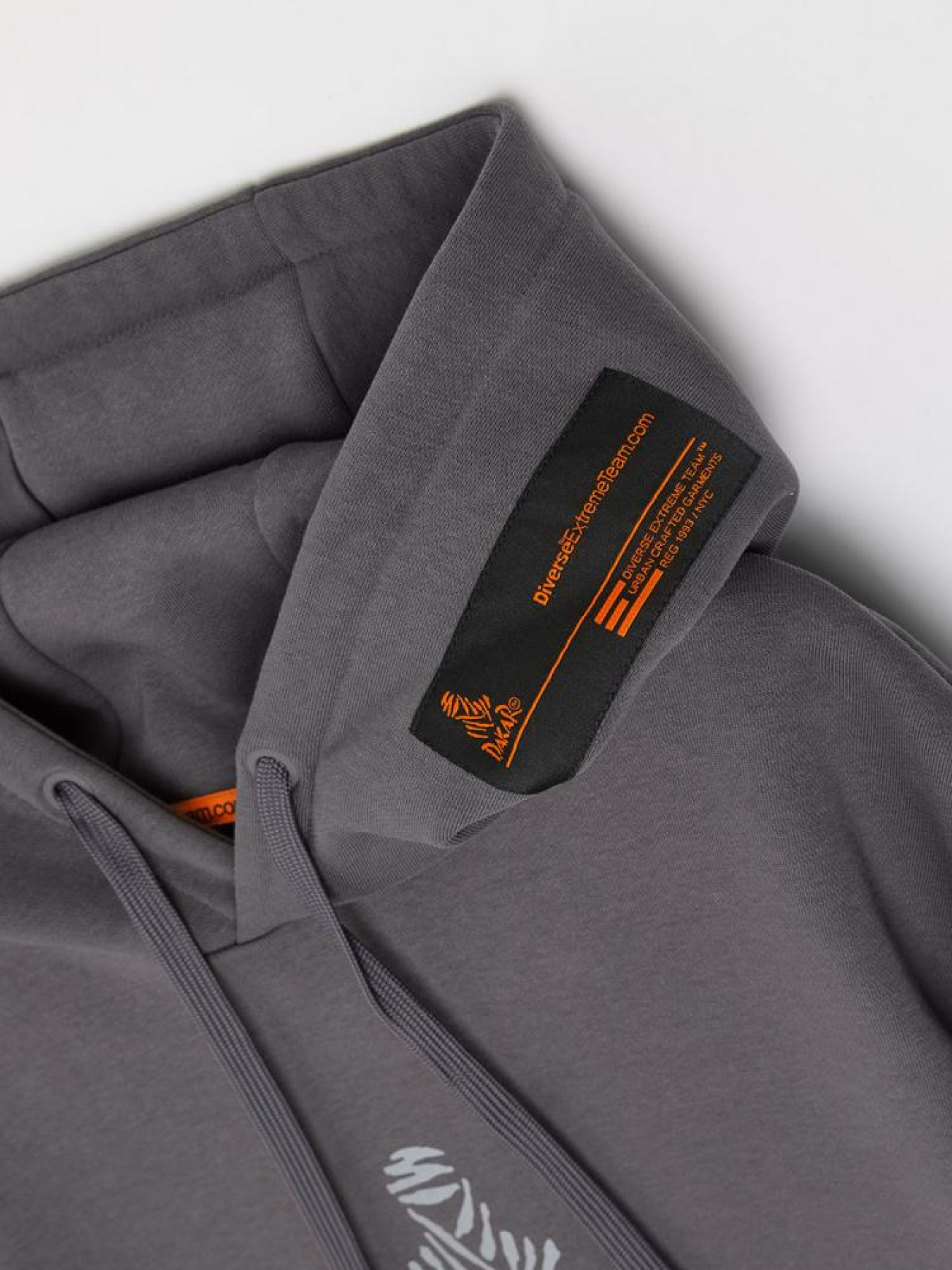 Худі DIVERSE Dkr H24 модель 10045645 Фото