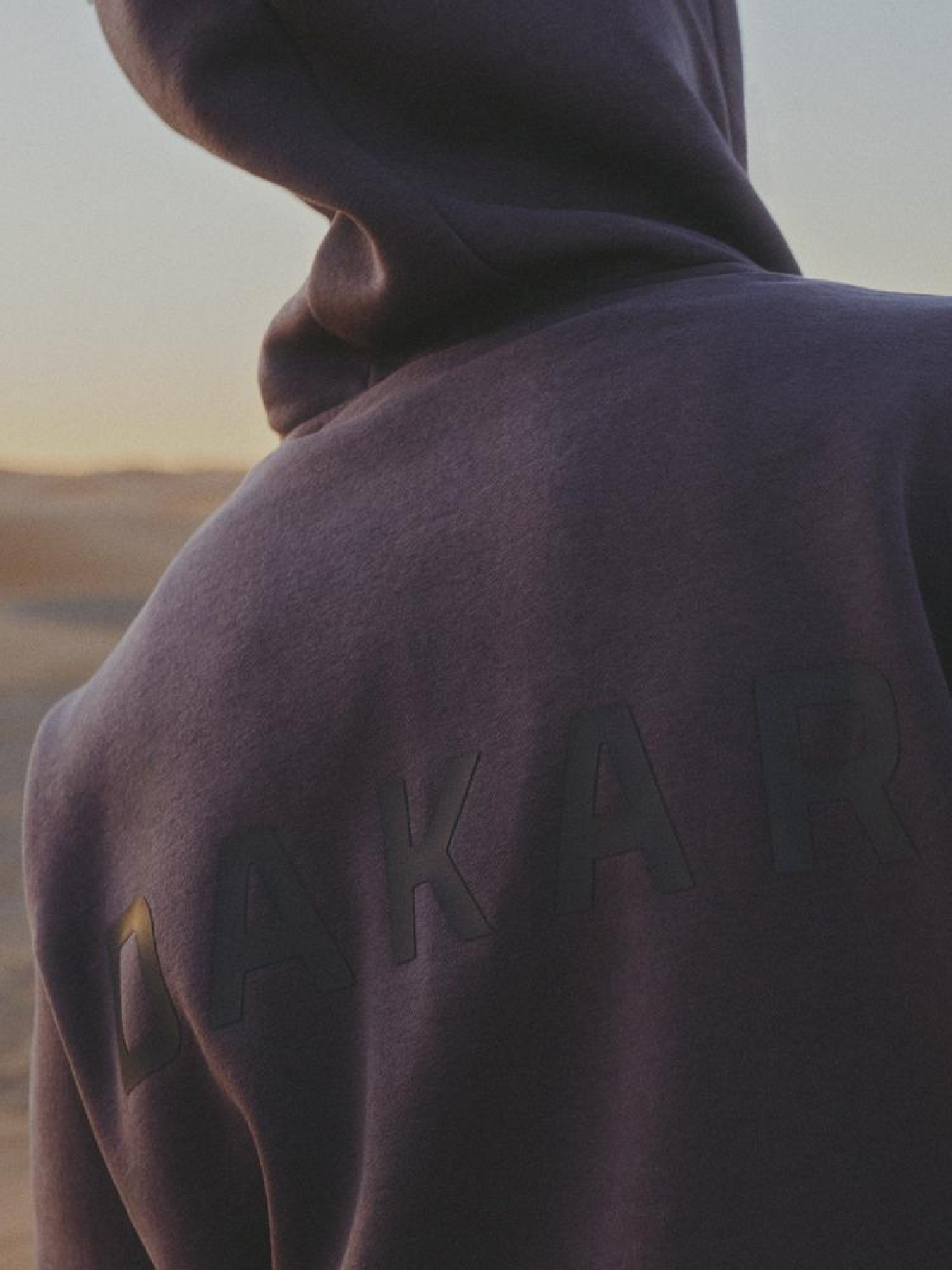 Худі DIVERSE Dkr H24 модель 10045645 Фото