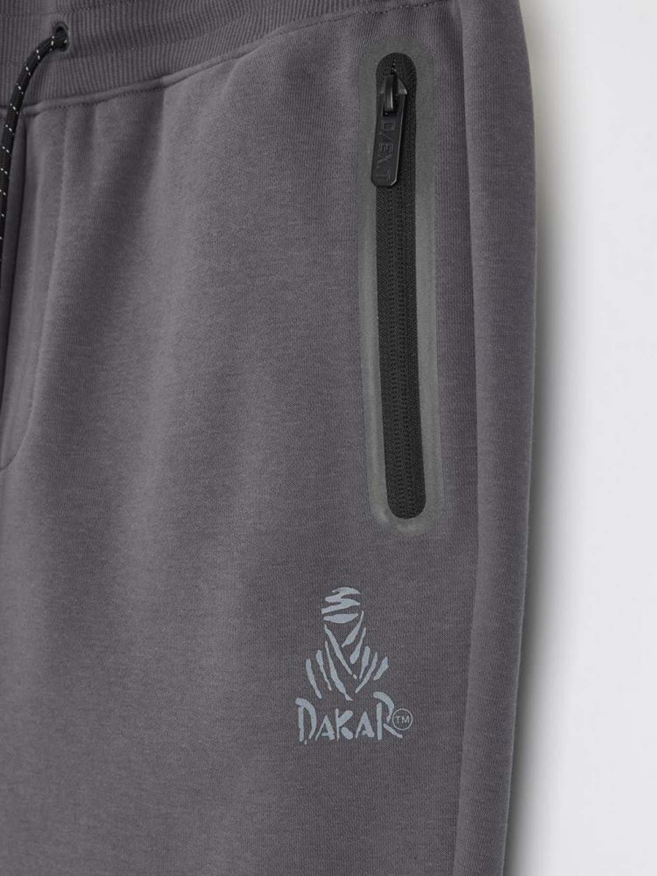 Штани спортивні DIVERSE модель 10045656 Фото