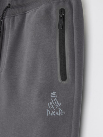 Штани спортивні DIVERSE модель 10045656 Фото