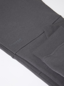 Штаны спортивные DIVERSE Dkr Recover P2 модель 10045656 Фото