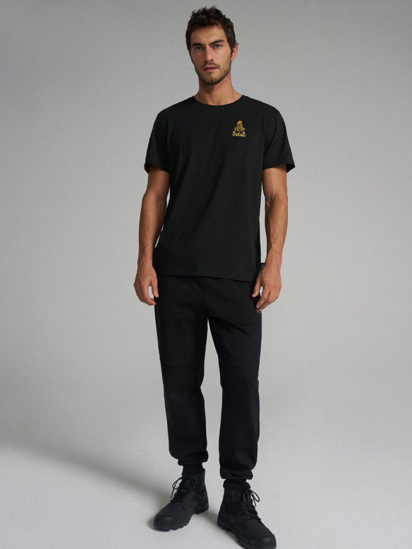 Штаны спортивные DIVERSE Dkr Vip Sp 04 модель 10045657 Фото