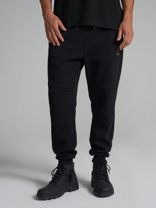 Штаны спортивные DIVERSE Dkr Vip Sp 04 модель 10045657 Фото