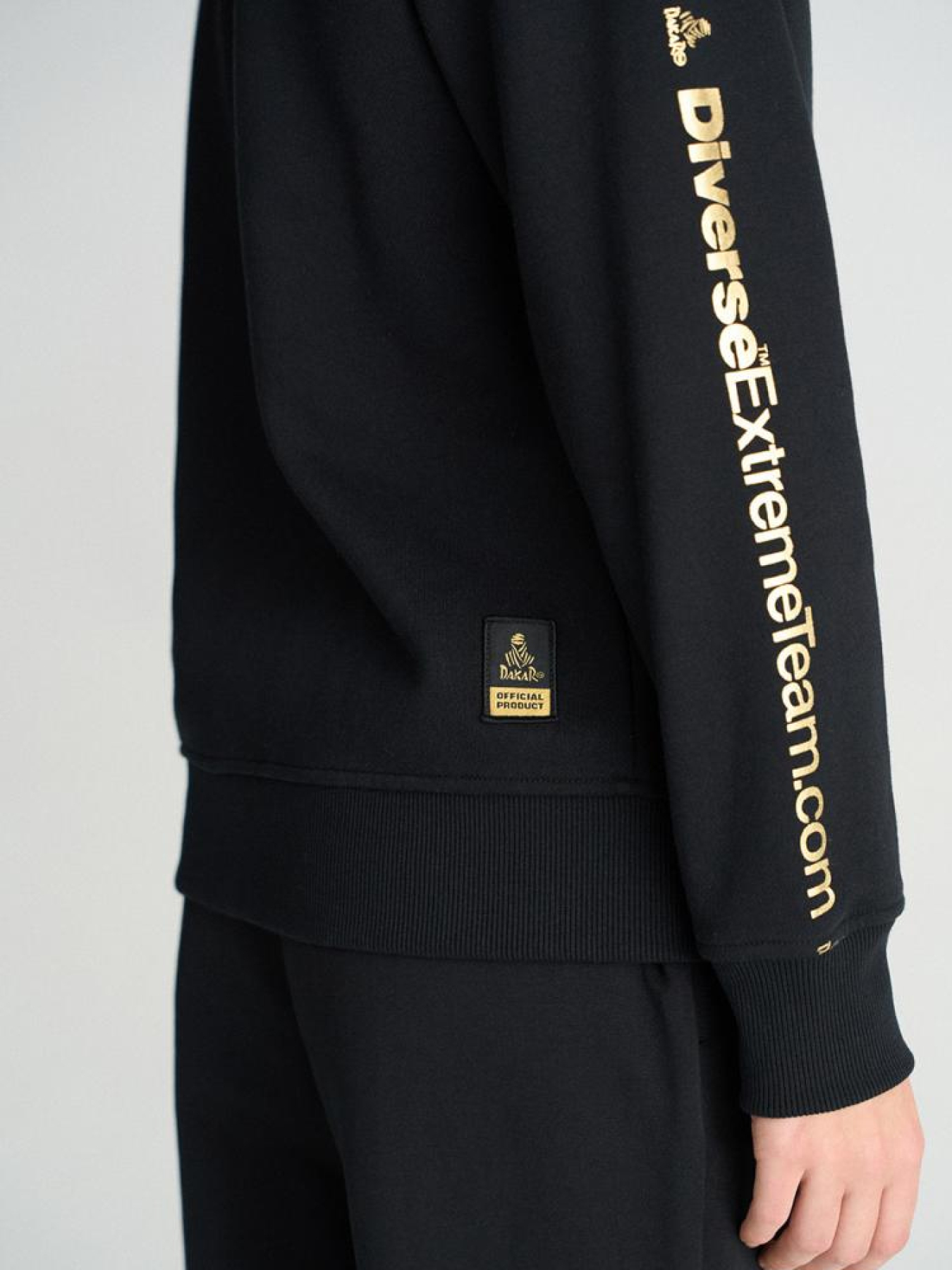 Кофта спортивна DIVERSE Dkr Vip 52 модель 10045752 Фото