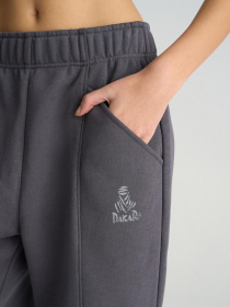 Штани спортивні DIVERSE Dkr Karl модель 10045753 Фото