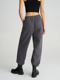 Спортивні штани DIVERSE Dkr Karl модель 10045753 Фото