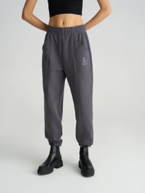 Спортивні штани DIVERSE Dkr Karl модель 10045753 Фото