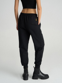 Спортивні штани DIVERSE Dkr Nave модель 10045754 Фото