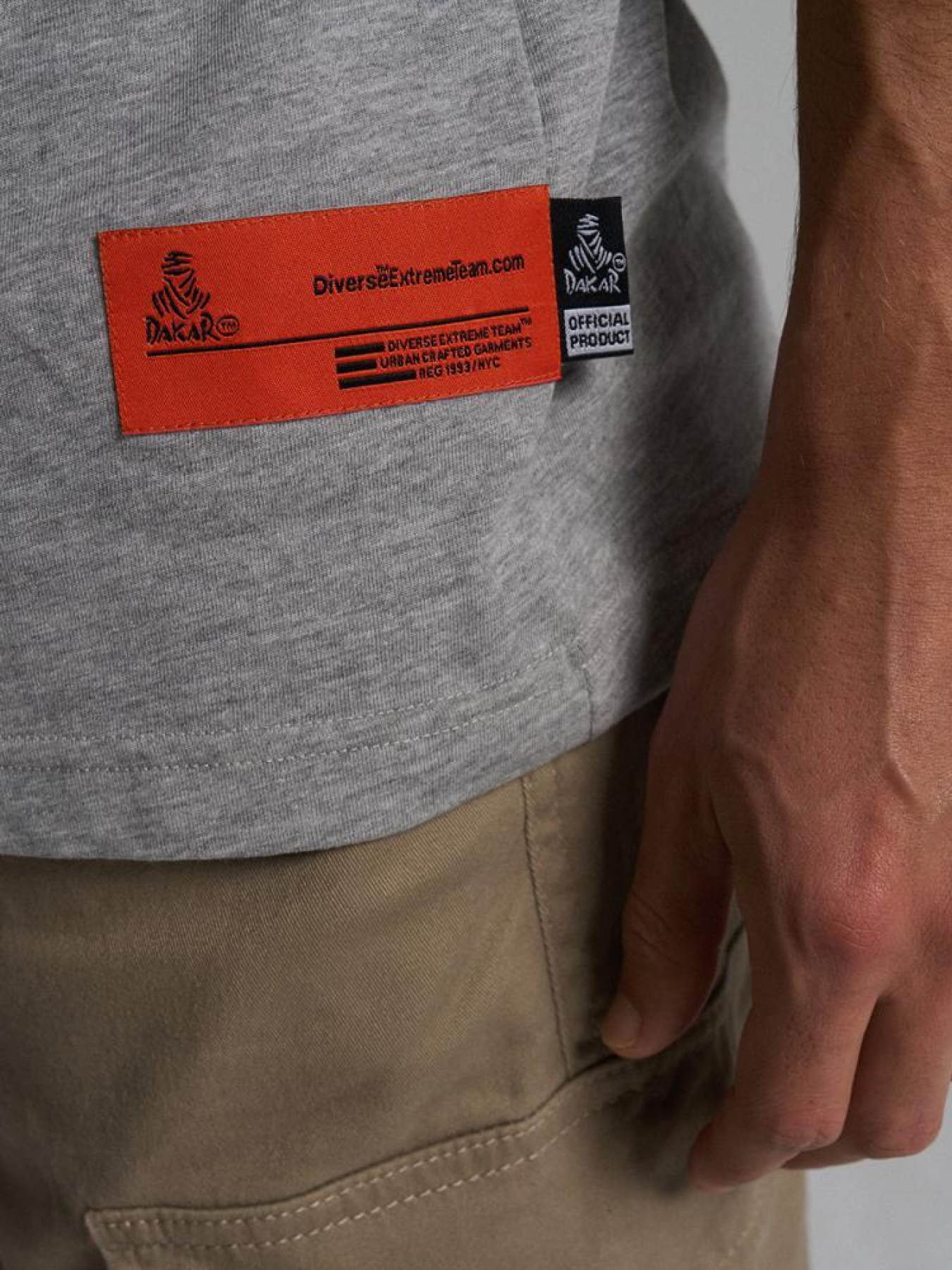 Футболка DIVERSE Dkr Des 0524 модель 10045692 Фото