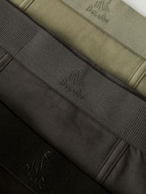 Набор трусов DIVERSE Dkr Snug 3pack модель 10045743 Фото