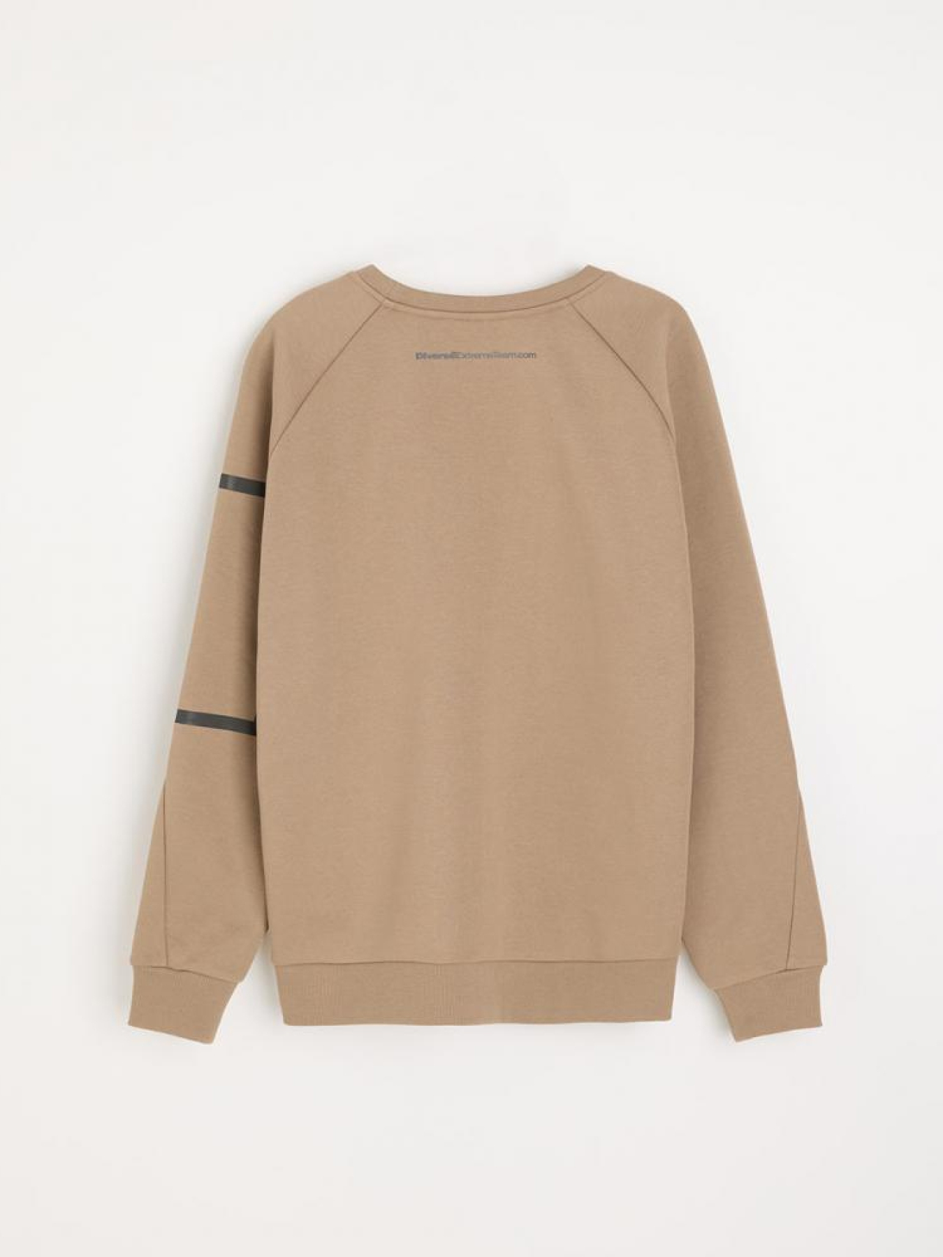 Свитшот DIVERSE Dkr Tech C24 модель 10045649 Фото