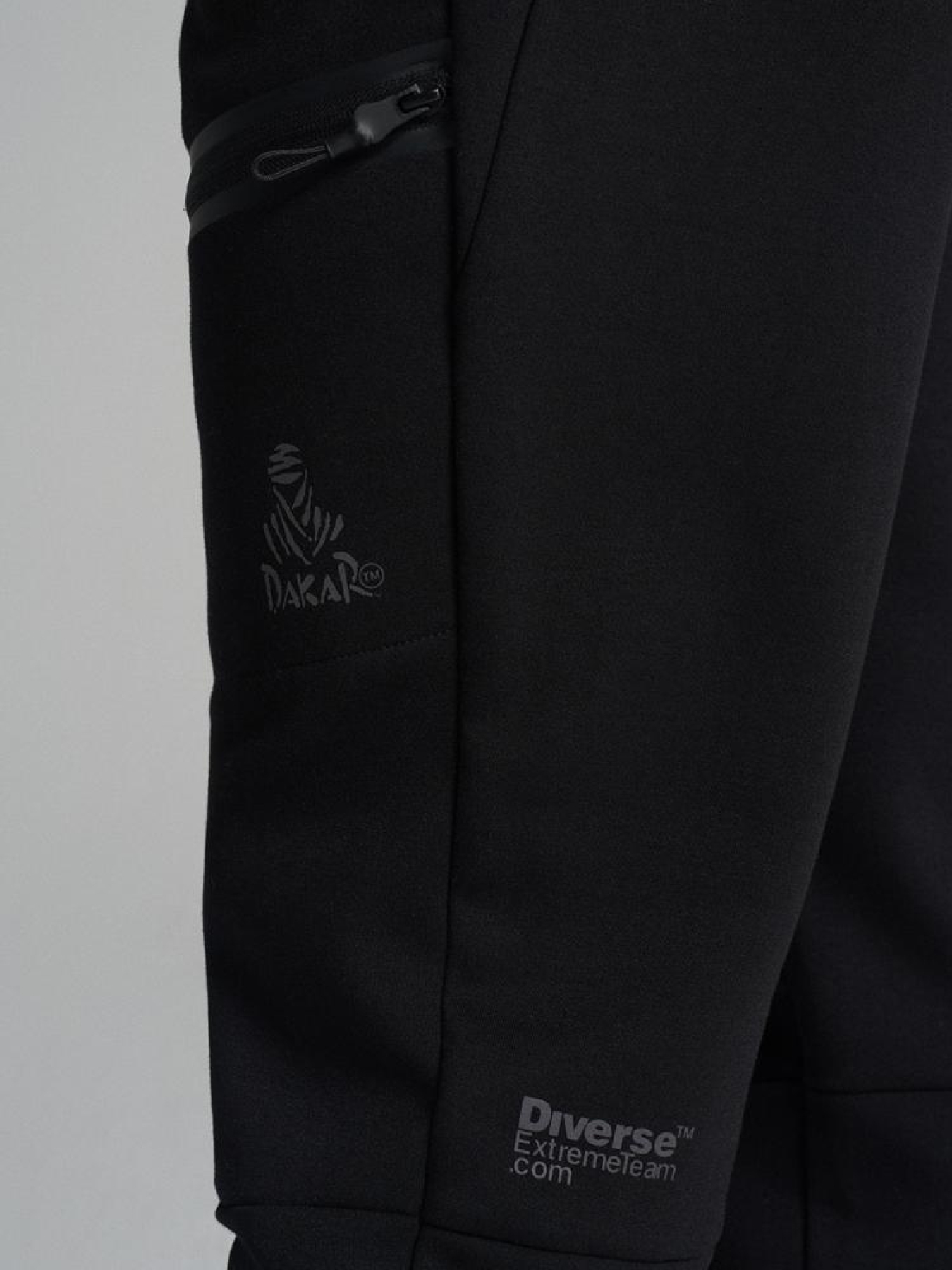 Штаны спортивные DIVERSE Dkr Instinct P2 модель 10045655 Фото