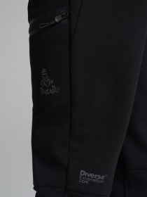 Штаны спортивные DIVERSE Dkr Instinct P2 модель 10045655 Фото