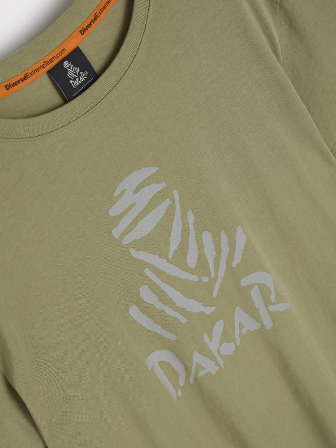 Футболка DIVERSE Dkr Des Logo модель 10045689 Фото