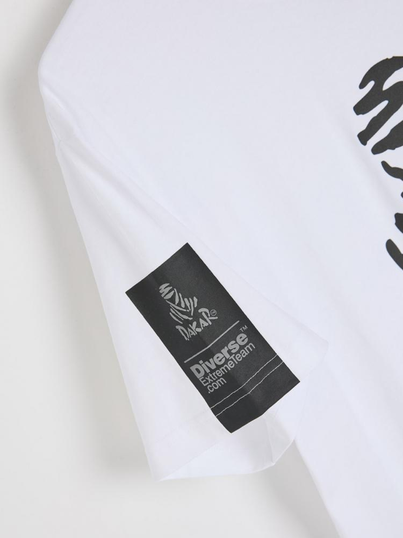 Футболка DIVERSE Dkr Des Logo модель 10045689 Фото
