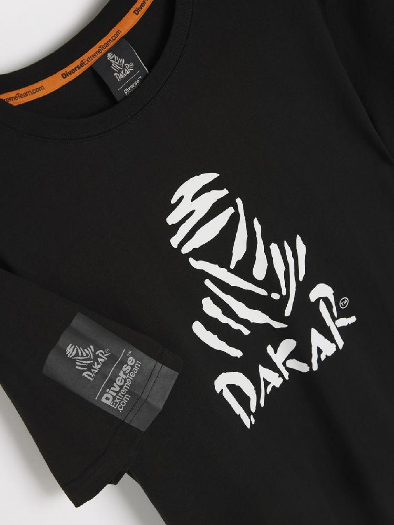 Футболка DIVERSE Dkr Des Logo модель 10045689 Фото