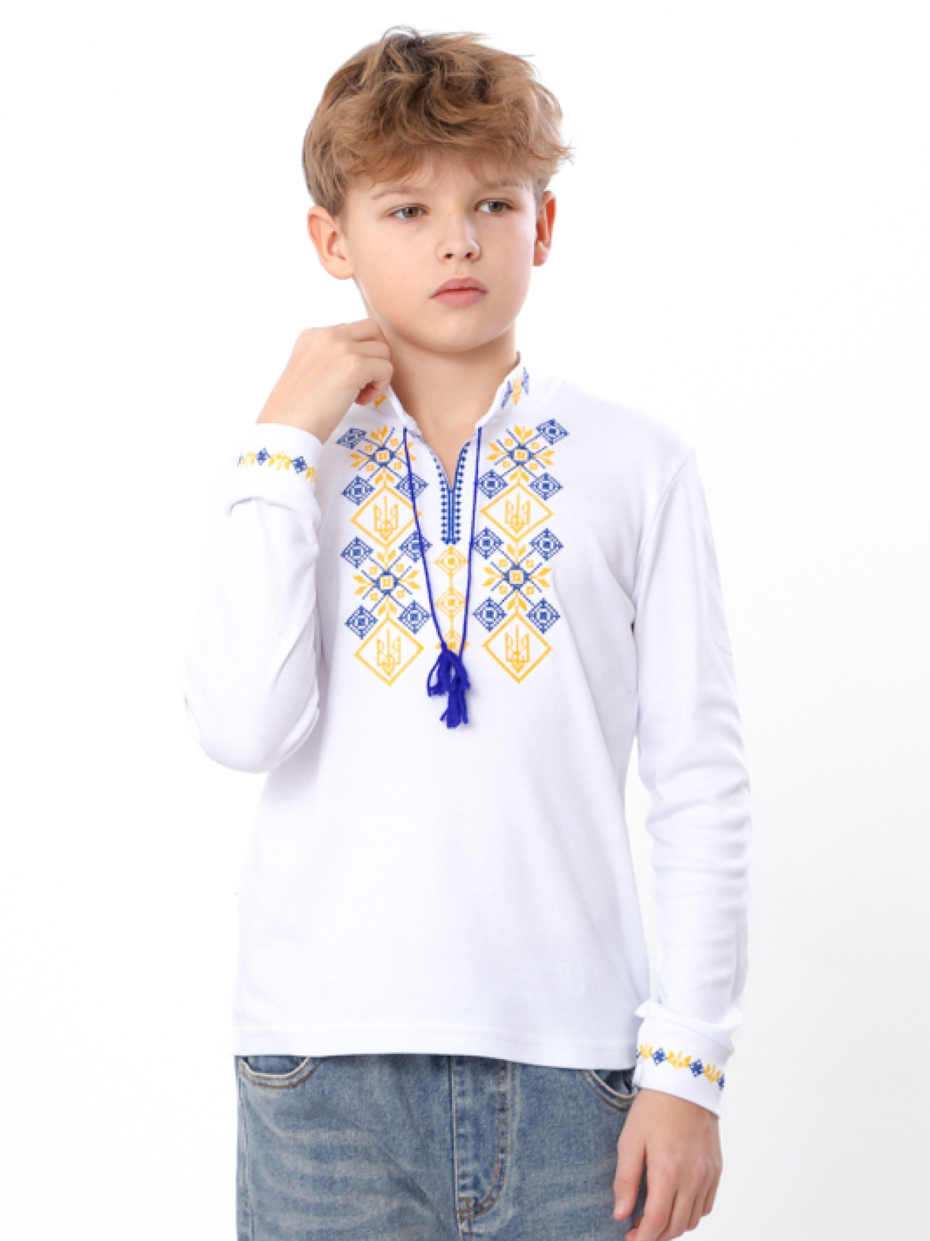 Вишита сорочка Носи своє модель 6128-038-22-1-zhovto-blakitnij-gerb Фото