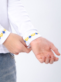 Вишита сорочка Носи своє модель 6128-038-22-1-zhovto-blakitnij-gerb Фото