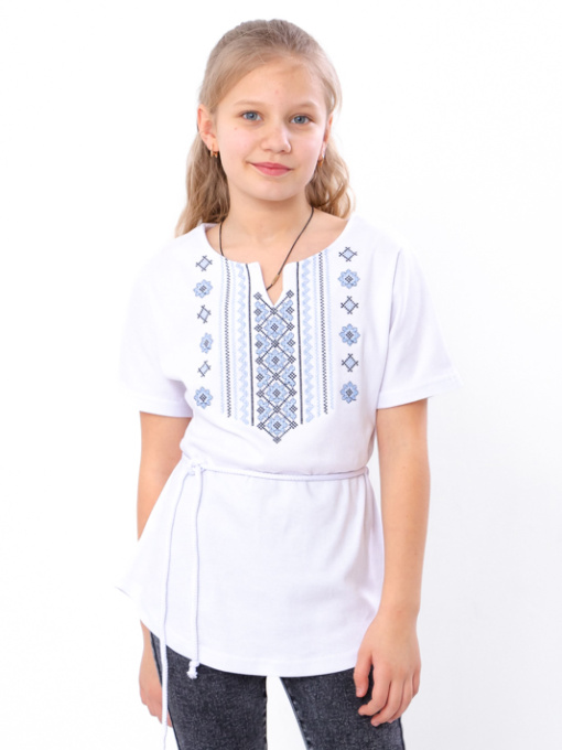 Вышитая рубашка Носи своє модель 6439-038-22-ornament-blakitnij Фото