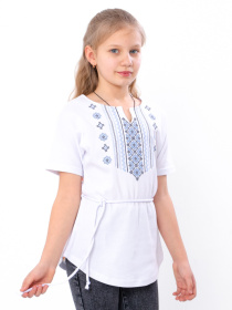 Вишита сорочка Носи своє модель 6439-038-22-ornament-blakitnij Фото