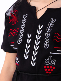 Вишита сорочка Носи своє модель 6439-015-22-lastvki Вишита сорочка Носи своє модель 6439-015-22-lastvki Фото