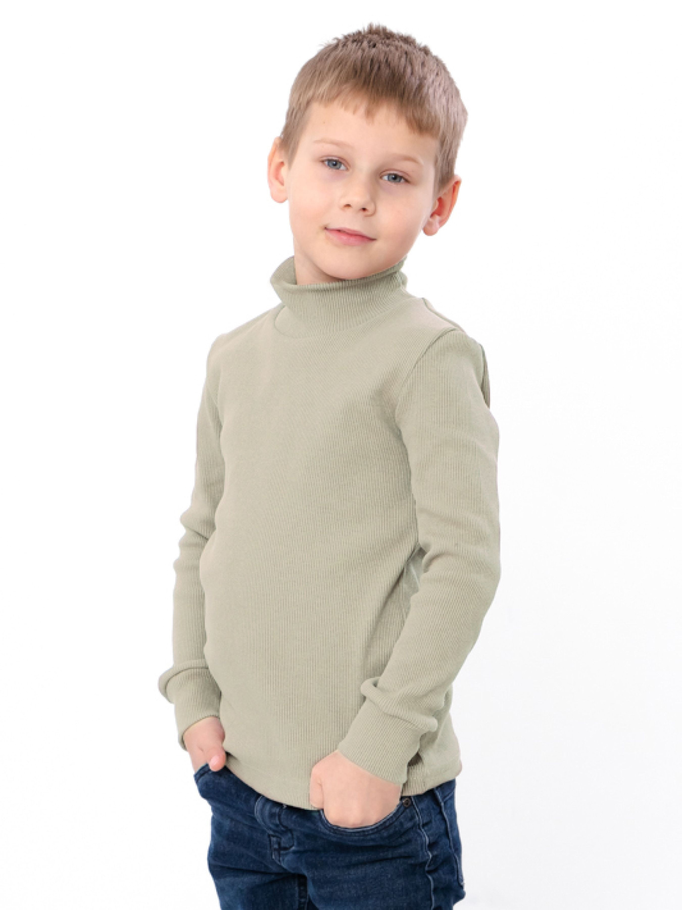 Водолазка Носи своє модель 6068-019-1-zelenij-bezh Фото