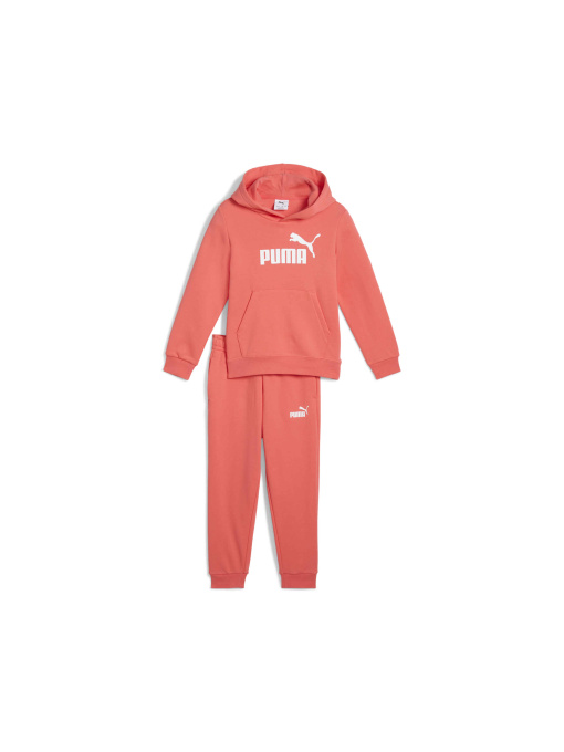 Спортивный костюм PUMA Ess No.1 Logo Sweat Suit модель 685709 Фото