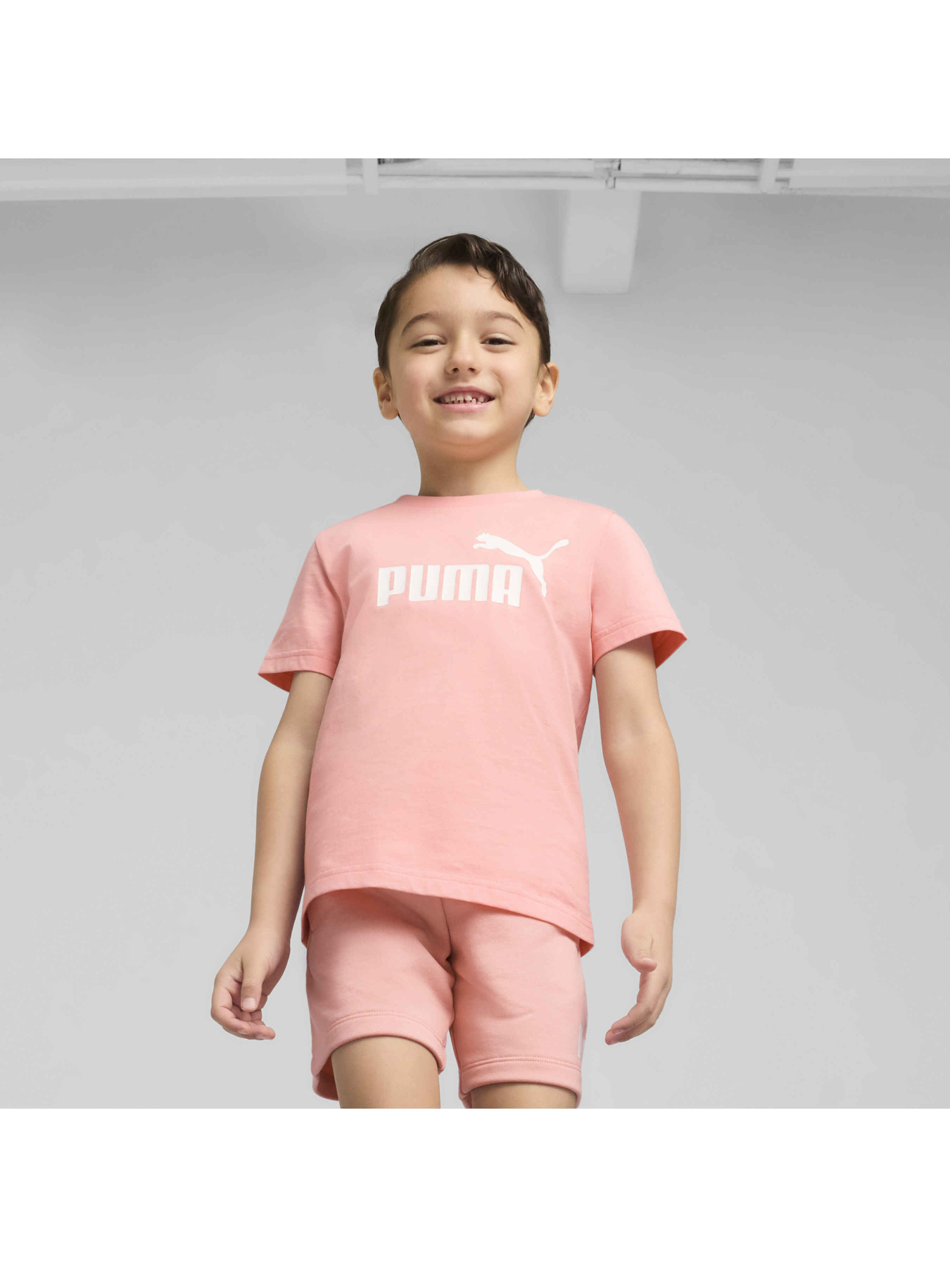 Футболка PUMA Ess No. 1 Logo Tee модель 684930 Фото