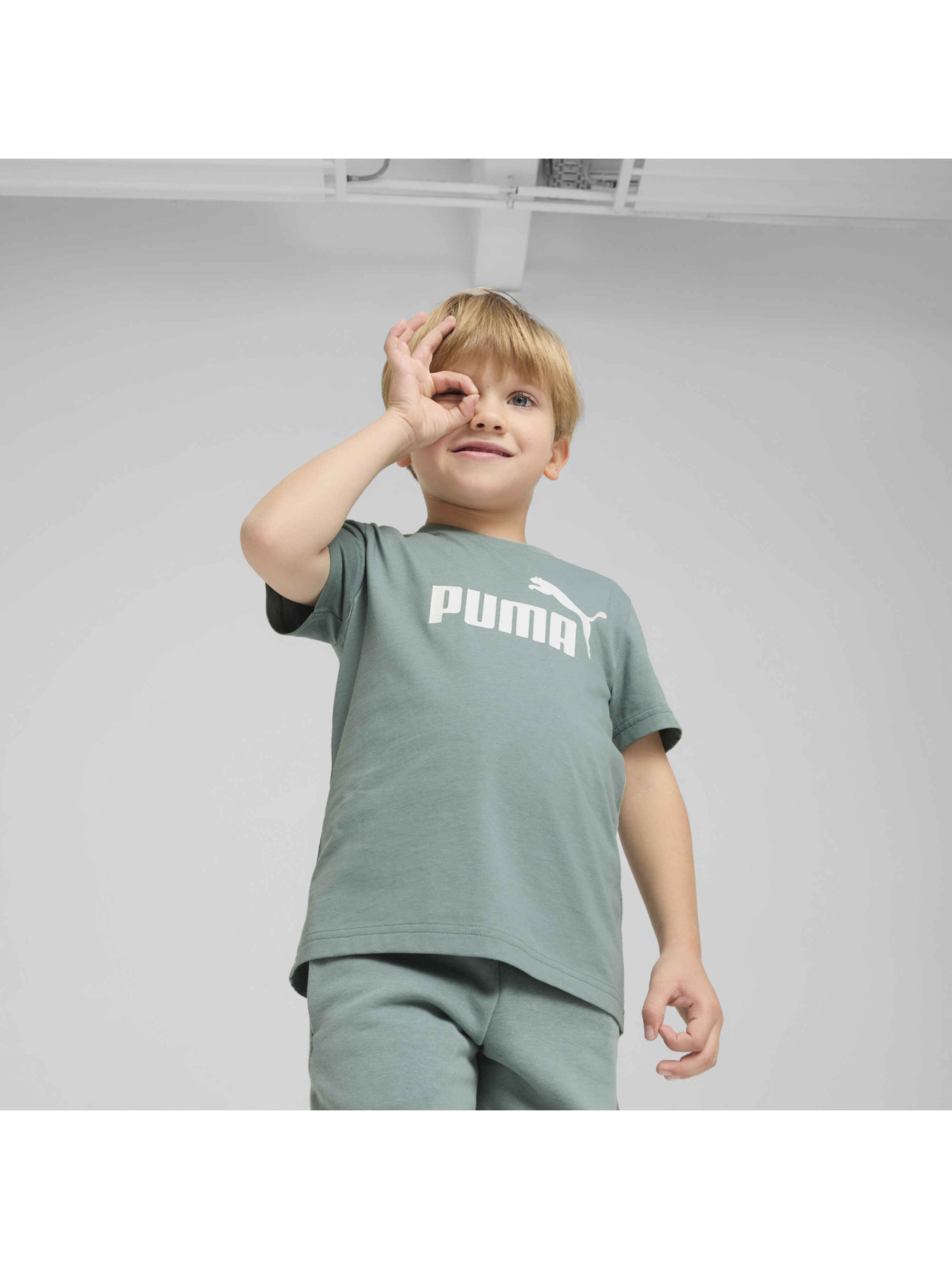 Футболка PUMA Ess No. 1 Logo Tee модель 684930 Фото