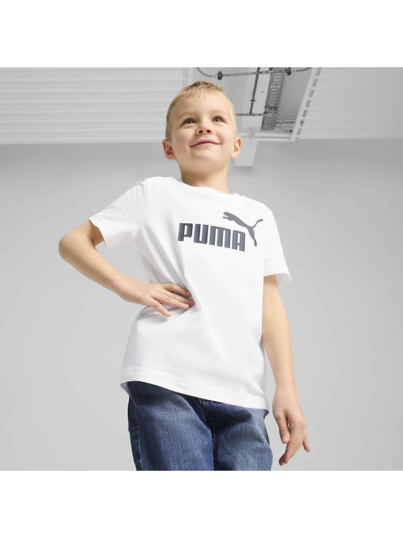 Футболка PUMA Ess No. 1 Logo Tee Модель 684930 Фото