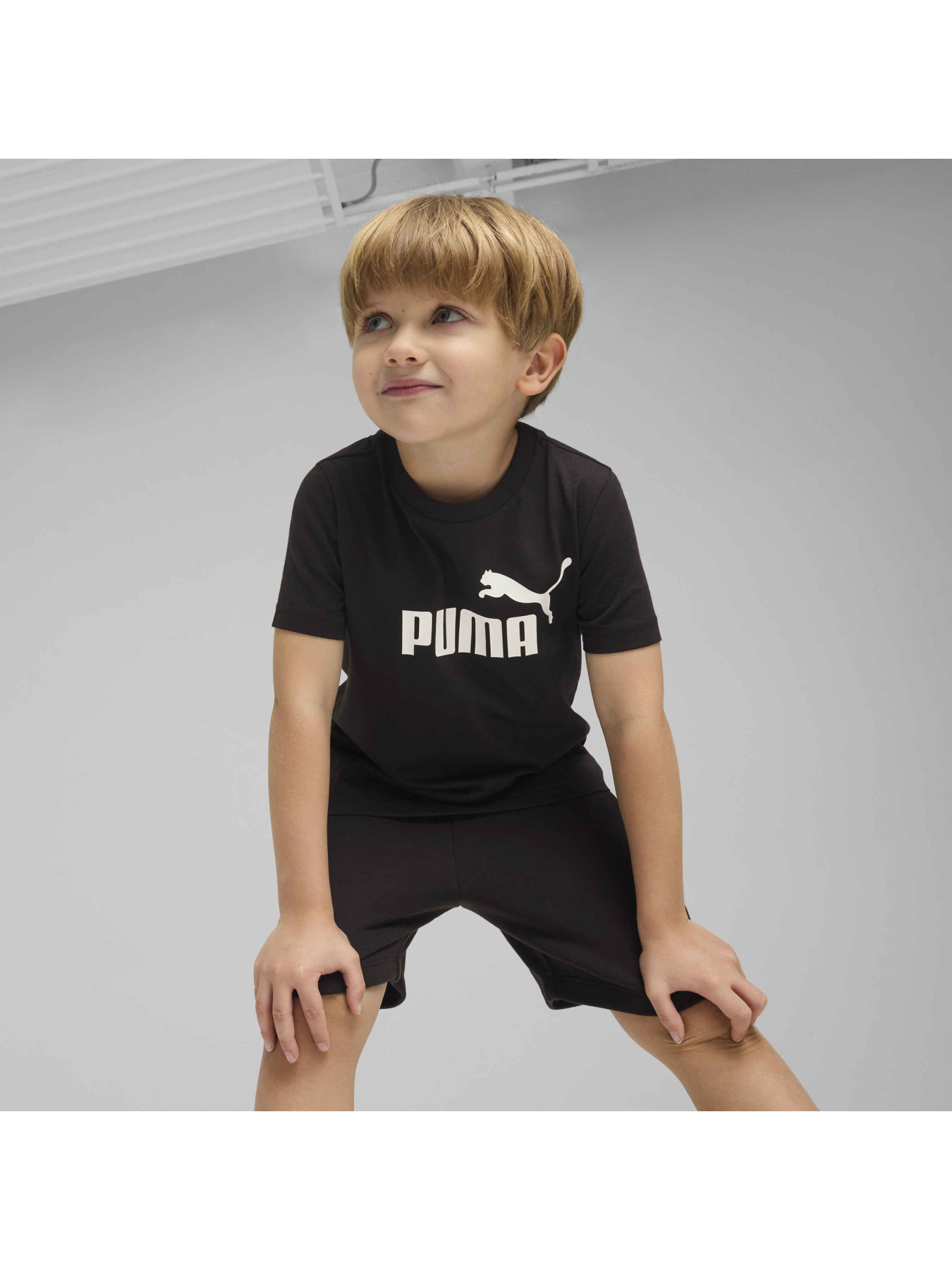 Футболка PUMA Ess No. 1 Logo Tee Модель 684930 Фото