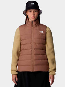 Худи и свитшоты The North Face модель NF0A84JP6IH1 Фото