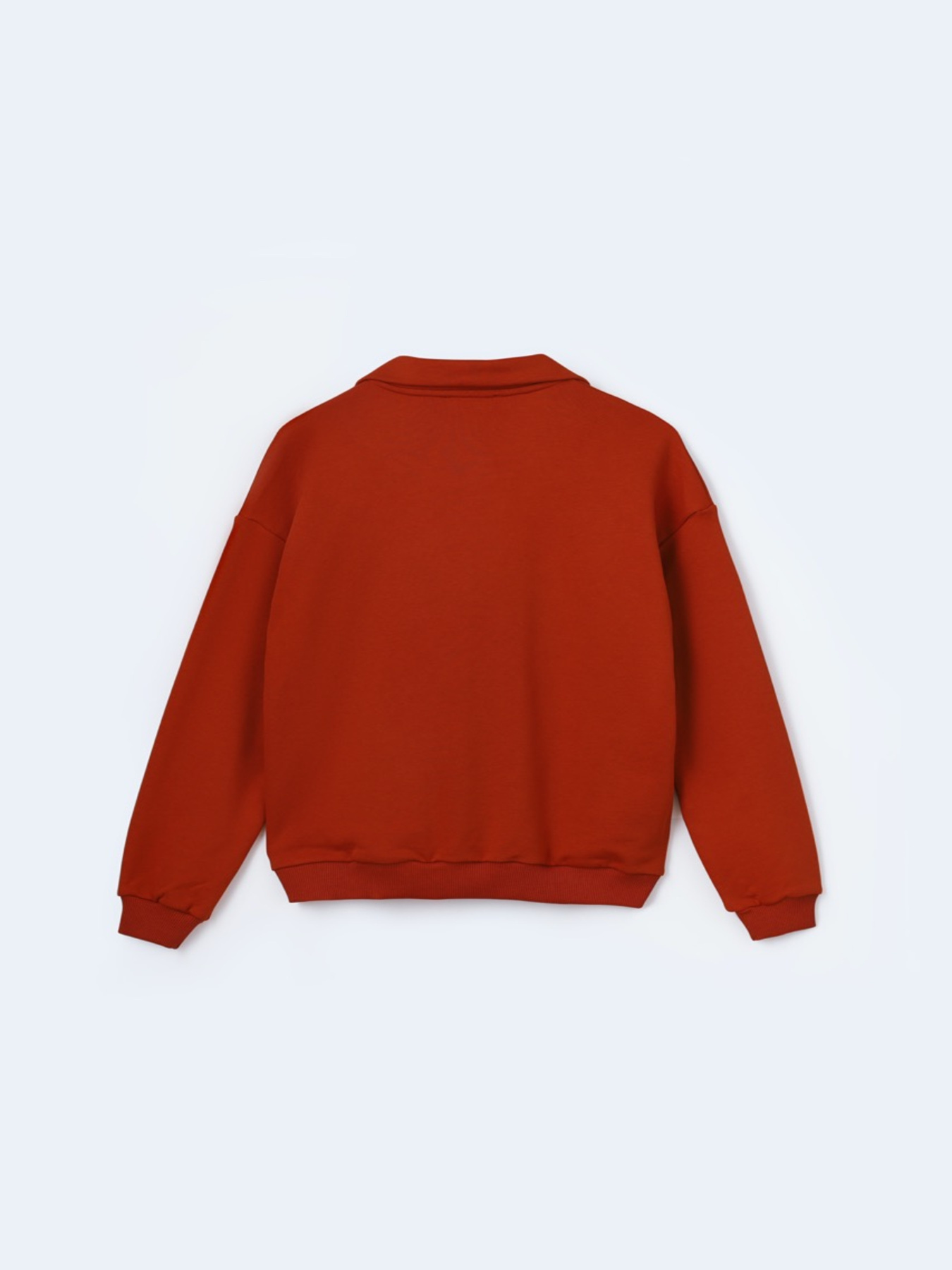 Кофты и свитера FloveTouch модель halfzip-terracotta Фото