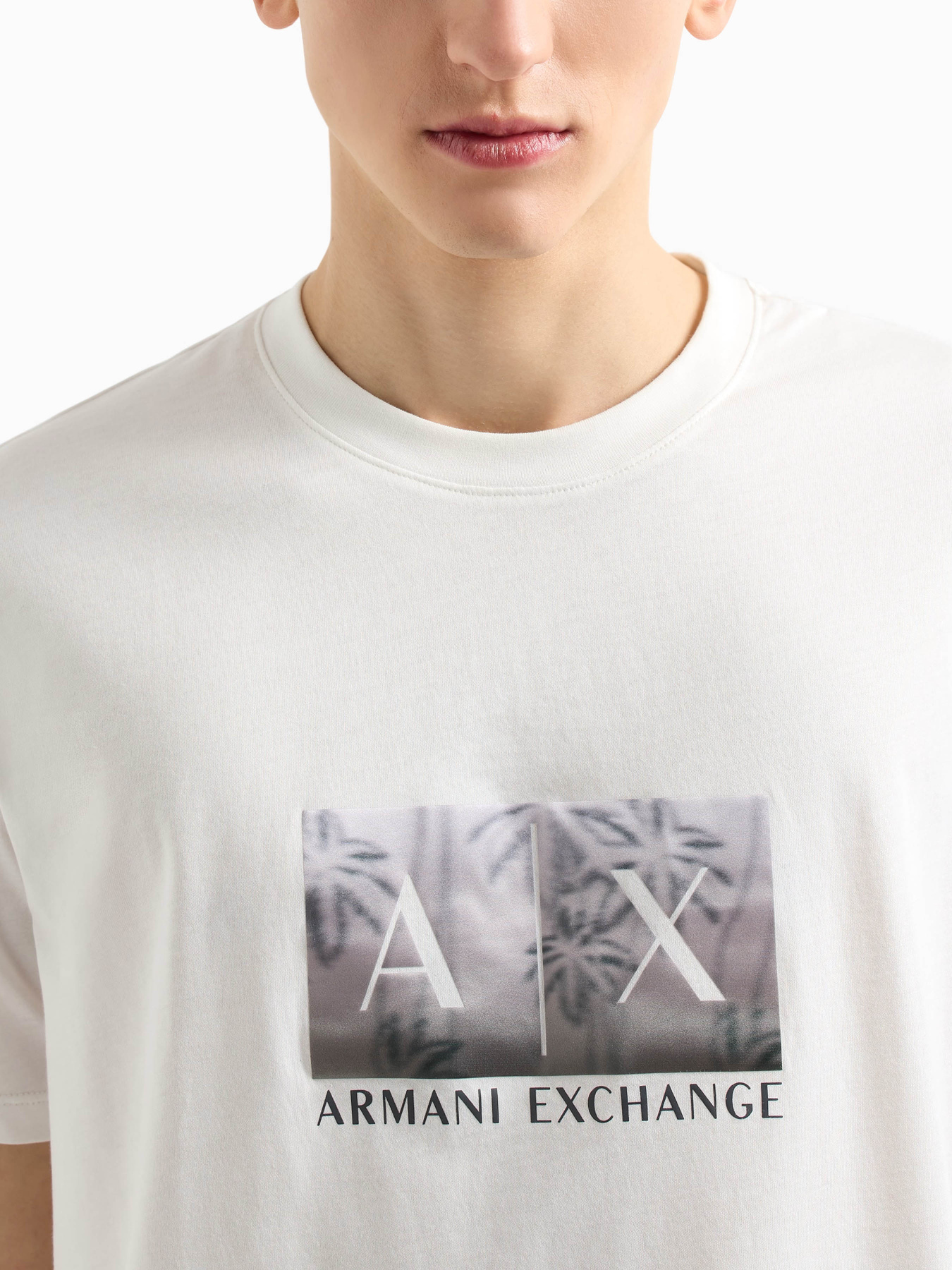 Футболки и поло Armani Exchange модель XM000555-AF10358-U0009 Фото