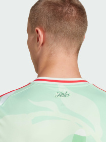 Футболка Adidas модель JF0604 Фото