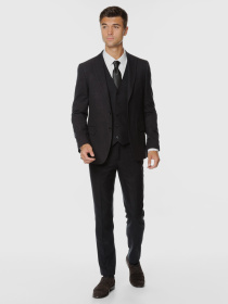 Классические штаны Arber модель AO01.08.30 Фото