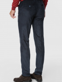 Штани повсякденні Arber модель AO01.11.30 Фото