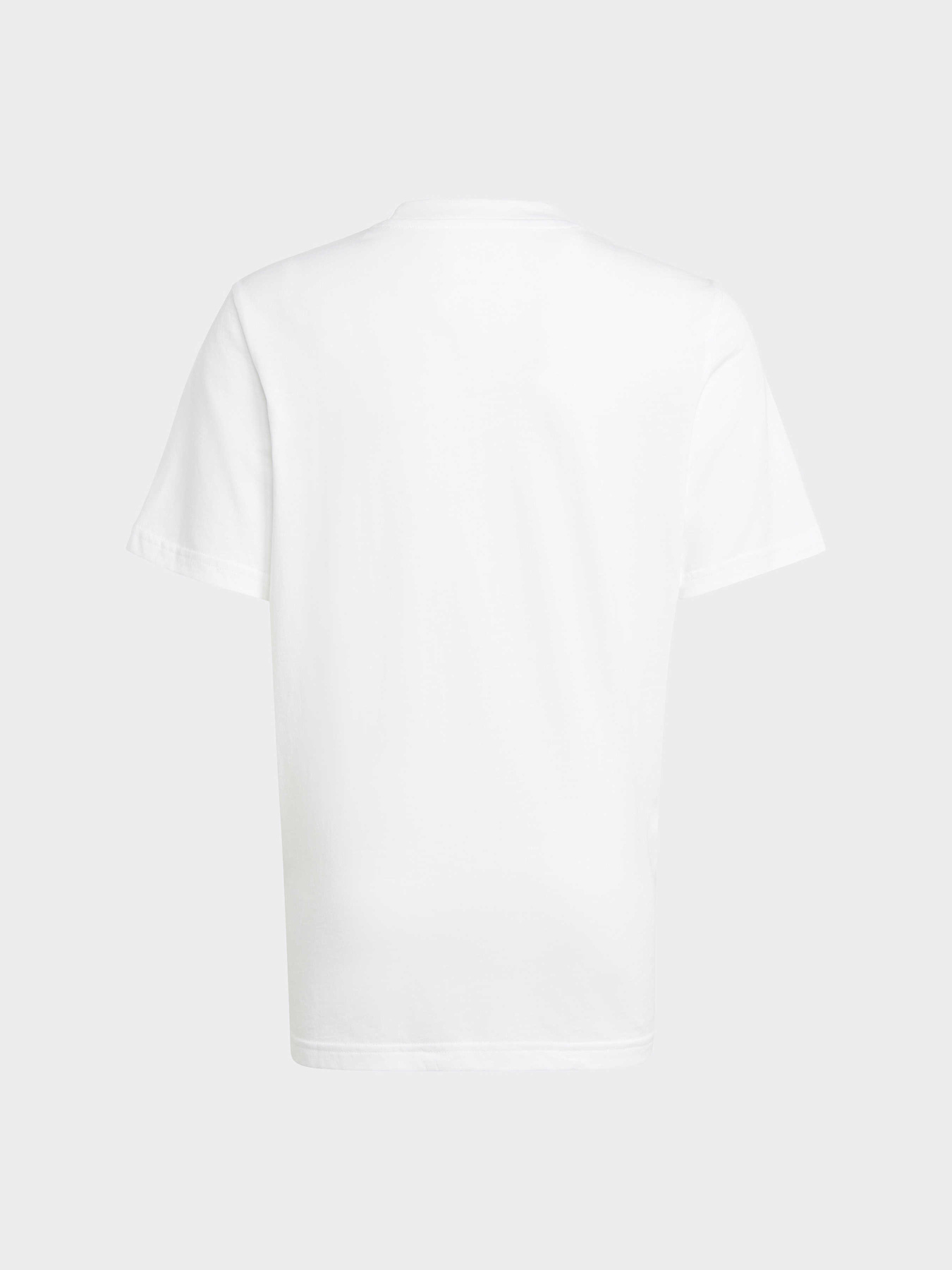 Футболка Adidas Adventure модель IC5385 Фото