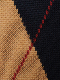 Светр Arber модель AO10.39.30 Фото