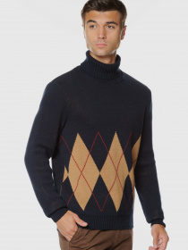 Светр Arber модель AO10.39.30 Фото